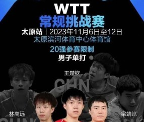 开云体育下载-法国队鏖战韩国队，波尔统治全场