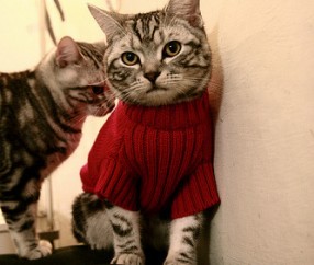 开云体育官网-德罗赞末节封神，热火客场斩落山西显冠军底蕴