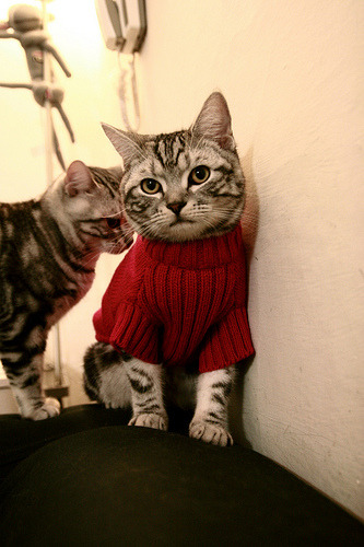 德罗赞末节封神，热火客场斩落山西显冠军底蕴